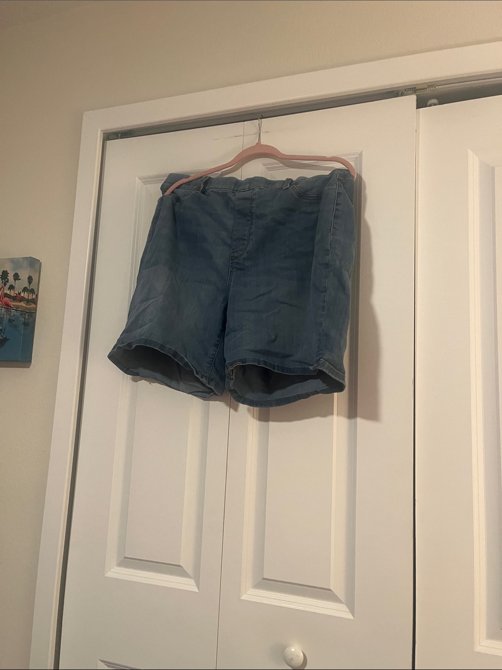 Judy Blue Washed Light Blue Denim Shorts